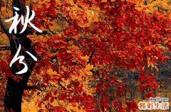 2024秋分是农历哪一天 2024秋分是哪一天