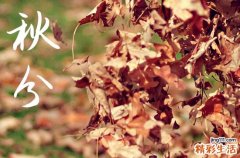 秋分2024年是几月几日星期几 2024年9月22日秋分是买宠物吉日吗