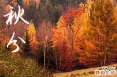 秋分是几月几号2024年 2024秋分当天可以买家具吗