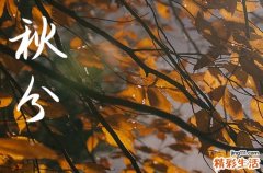 秋分是几月几号2024年 2024秋分那天买狗好吗