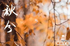 2024年秋分农历时间 2024年秋分买猫行不行