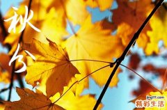 2024年秋分是什么时候时间 2024年秋分是买鱼的好日子吗