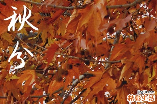 2024秋分是哪天 2024年秋分买鸡吉利吗