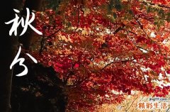 秋分2024年是几月几日星期几 2024年秋分是会亲友吉日吗