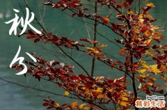 2024年秋分是几点几分几秒 2024年9月22日秋分这天作灶好不好