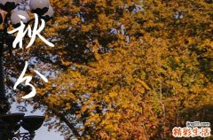 2024年秋分是几点几分几秒 今天日子好不好