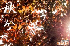 2024年秋分是几点几分几秒 2024年9月22日秋分黄历