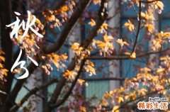 2024年秋分是多少号 2024年9月22日秋分这天宜修理坟墓吗