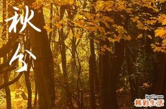秋分是2024的几月几日 2024年9月22日秋分这天入棺好吗