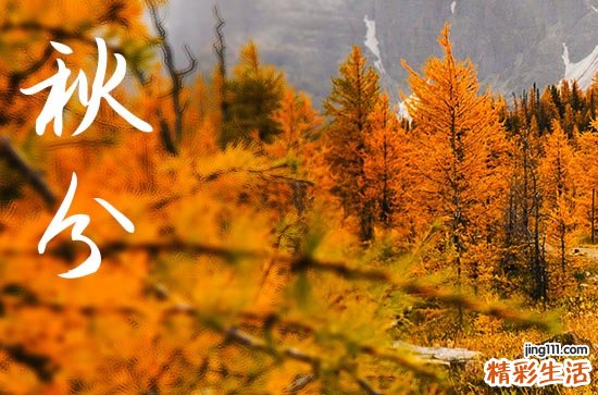 2024年秋分农历时间 2024秋分当天可以打灶台吗