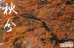 2024年秋分時間是什么時候 2024年秋分投資好不好
