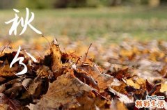 2024秋分是哪天 今天日子好不好