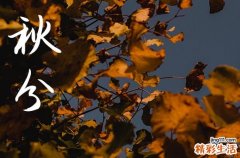 2024年秋分是哪一天 2024年9月22日秋分这天宜拜师学艺吗