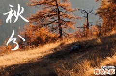 秋分是2024的几月几日 这天是什么星座星期几