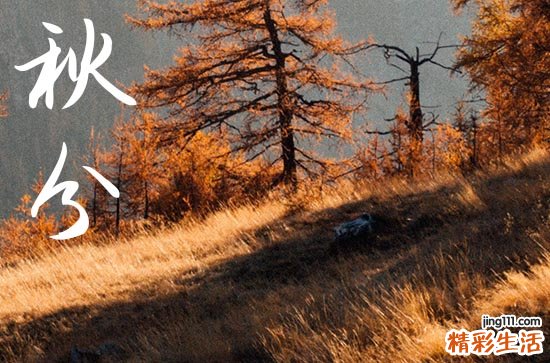 秋分是2024的几月几日 这天是什么星座星期几