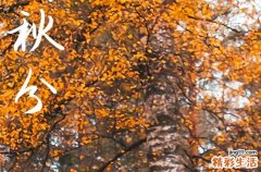 2024年秋分农历时间 2024秋分那天挖水井好吗