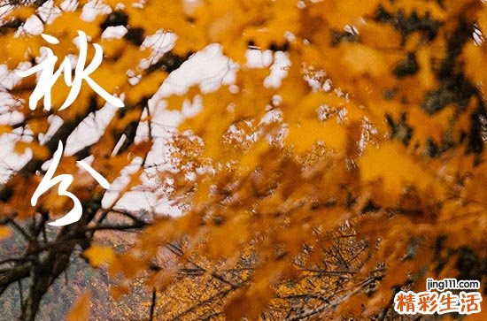 秋分2024年是几月几日星期几 2024年秋分能搬新屋吗