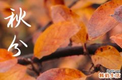 2024年秋分是多少號 2024年9月22日是秋分