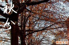 2024年秋分农历时间 2024秋分这天宜做什么