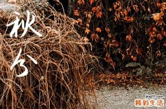 2024年今年秋分是几月几号 2024年秋分是教牛马吉日吗