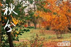 2024年秋分是几月几日 2024年秋分能栽种吗