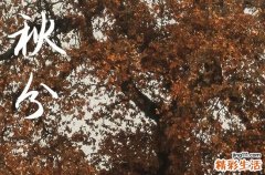 秋分2024年是几月几日星期几 2024年9月22日秋分是整手足甲的黄道吉日吗