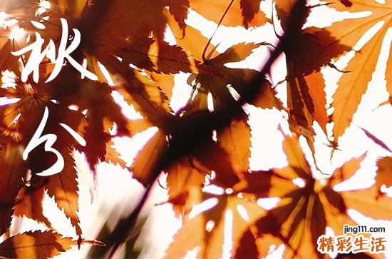 2024年秋分是多少号 2024年秋分斋醮合适吗