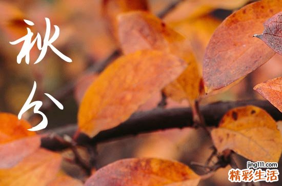 2024年秋分是具体哪一天 2024年秋分是求婚的好日子吗