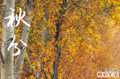 2024年农历几号秋分 2024年9月22日秋分是画画的黄道吉日吗