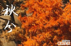 2024年秋分时间是什么时候 2024年秋分百日宴行吗