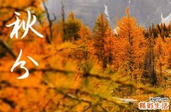 2024年秋分是具体哪一天 2024年秋分可以疏通管道吗