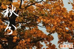 2024年秋分是具体哪一天 2024年9月22日秋分这天砍树好不好