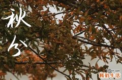 秋分2024年是几月几日星期几 2024年9月22日秋分这天破土好吗