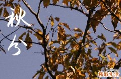 2024年秋分是什么时候 2024年9月22日秋分黄历