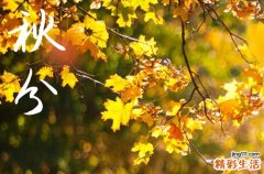 2024年秋分是什么时候时间 2024年秋分适合种盆栽吗