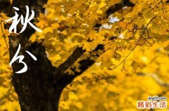 2024年秋分是什么时候 2024年9月22日秋分这天宜结网吗