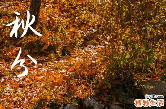 2024年秋分时间是什么时候 2024年秋分装修厨房好不好