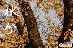 2024年今年秋分是几月几号 2024年秋分适合装修房子开工吗