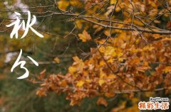 秋分是2024的几月几日 2024秋分是哪一天