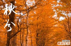 2024年秋分是具体哪一天 2024年9月22日秋分训牛可以吗