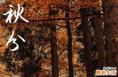 2024年秋分几月几日 2024秋分这天可以谢土吗