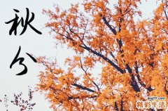 2024年秋分是几点几分几秒 2024年秋分能踏青吗