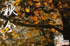 秋分2024年是几月几日星期几 2024秋分当天可以迁坟吗