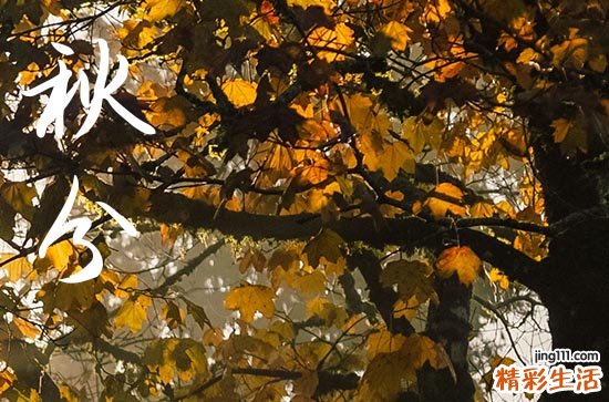 秋分2024年是几月几日星期几 2024秋分当天可以迁坟吗