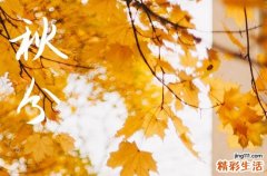 2024年什么时候秋分 2024年秋分是送葬的好日子吗