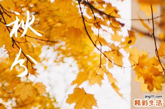 2024年什么时候秋分 2024年秋分是送葬的好日子吗