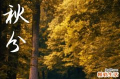 秋分是2024的幾月幾日 今天日子好不好