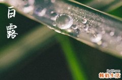 2024年几点白露节气 白露习俗