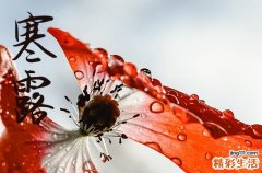 2024年什么時(shí)候寒露 2024年寒露是提親吉日嗎