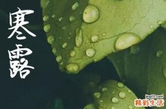 2024年寒露是具体哪一天 2024年寒露弄搬家入宅适合吗